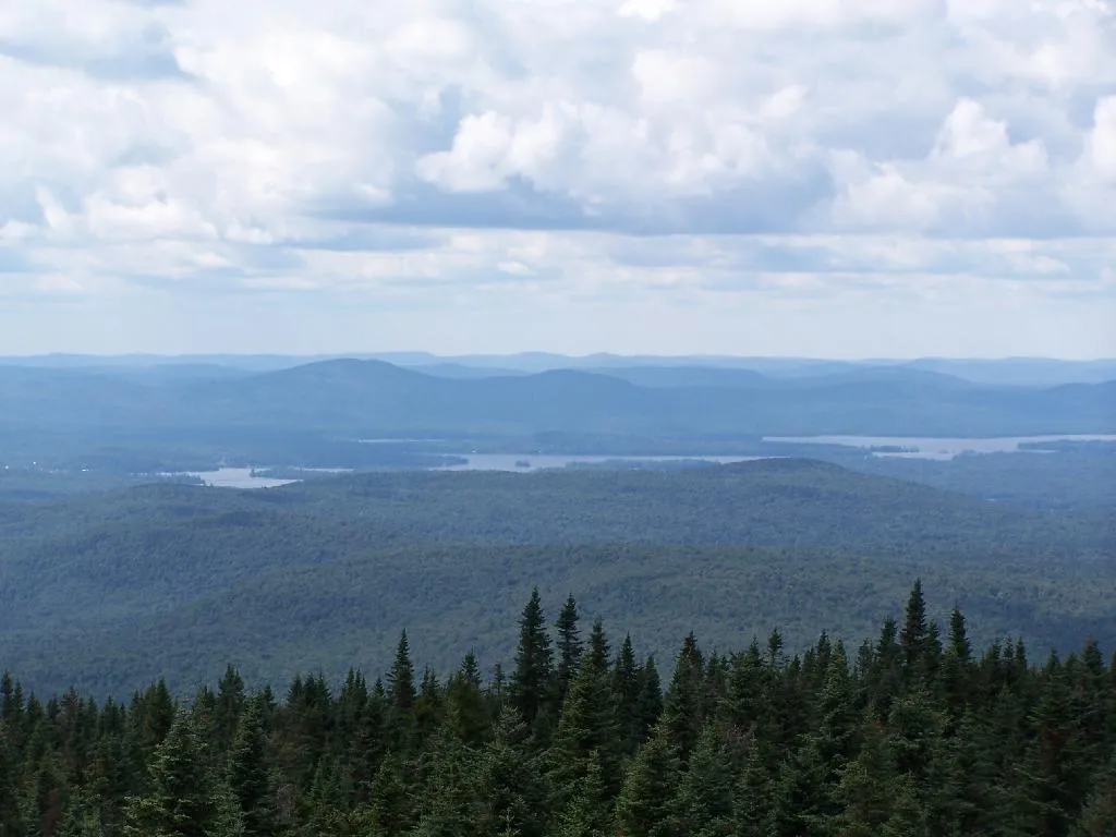 Fulton Chain of Lakes at Moose River Plains
