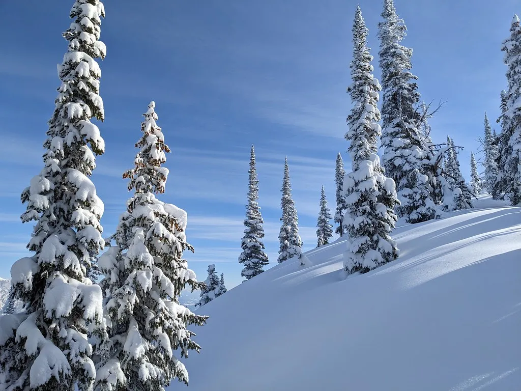 Kicking Horse Ski Area