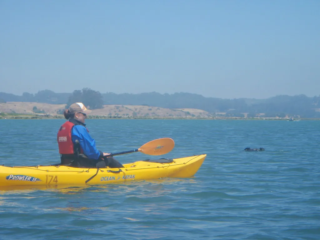 Kayaking Moss Landing