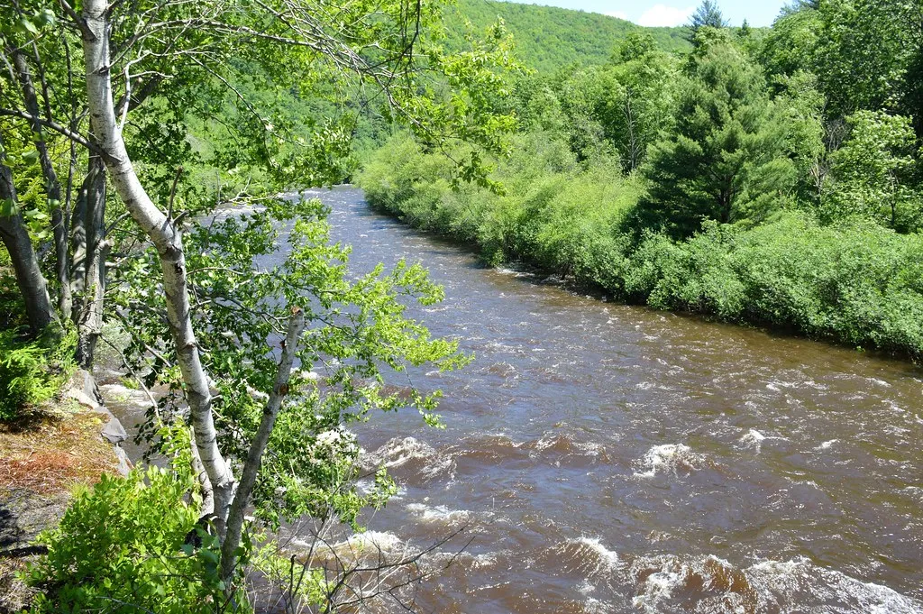 Lehigh_River_Gorge