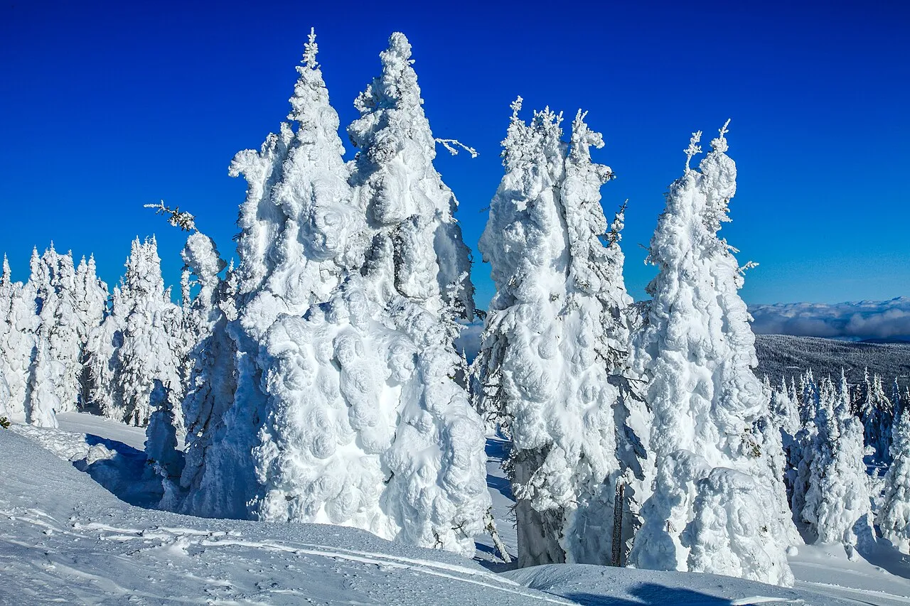 Sun Peaks Ski Resort...amongst the snow ghosts