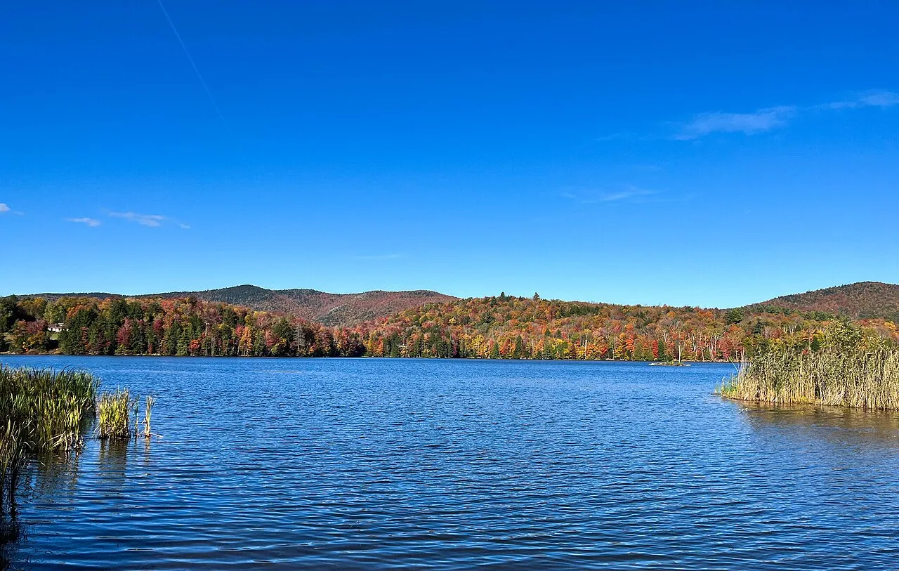Gifford Woods (National Natural Landmark) (05c057e3-8925-4549-bcd1-7fec9c4b1df5)