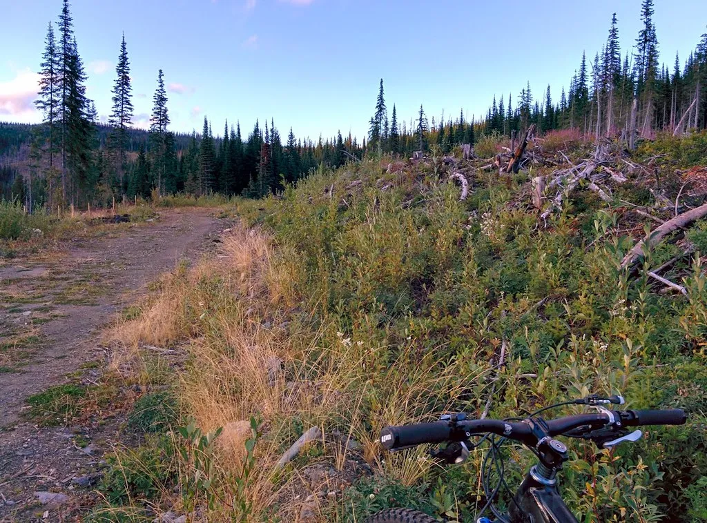 Sun Peaks biking