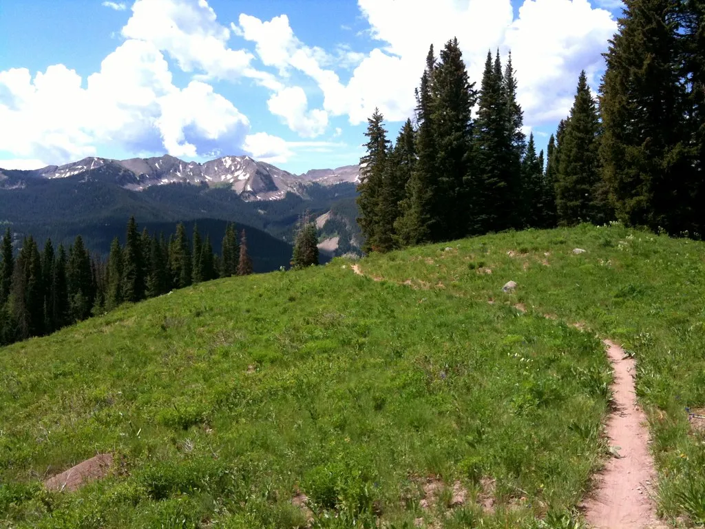 Mountain Bike The Dyke Trail, Crested Butte, CO, USA