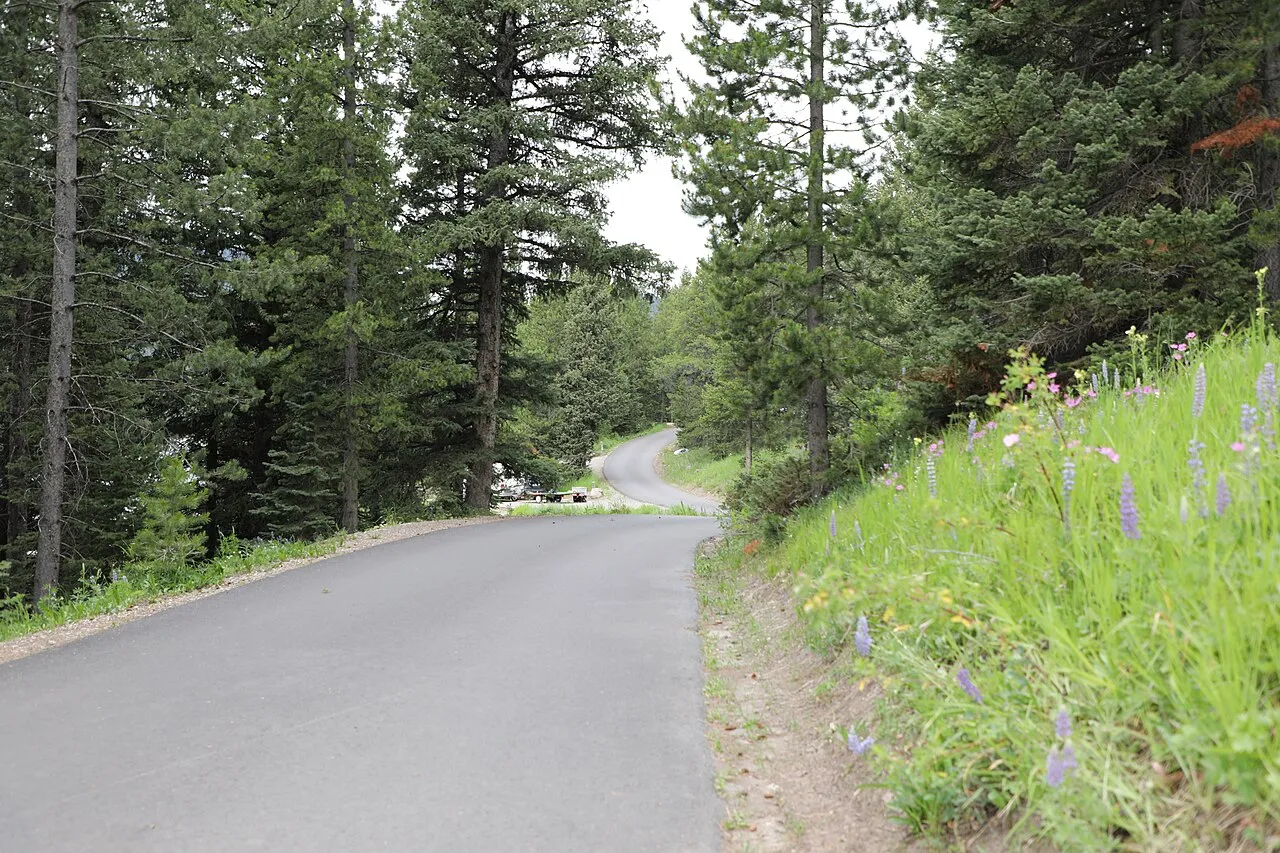 Photos taken at the Hood Creek Campground on the Custer Gallatin National Forest on July 17, 2023.