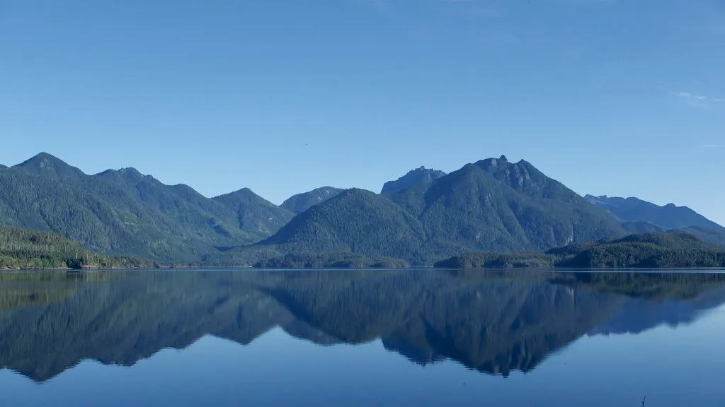 Tofino Seas