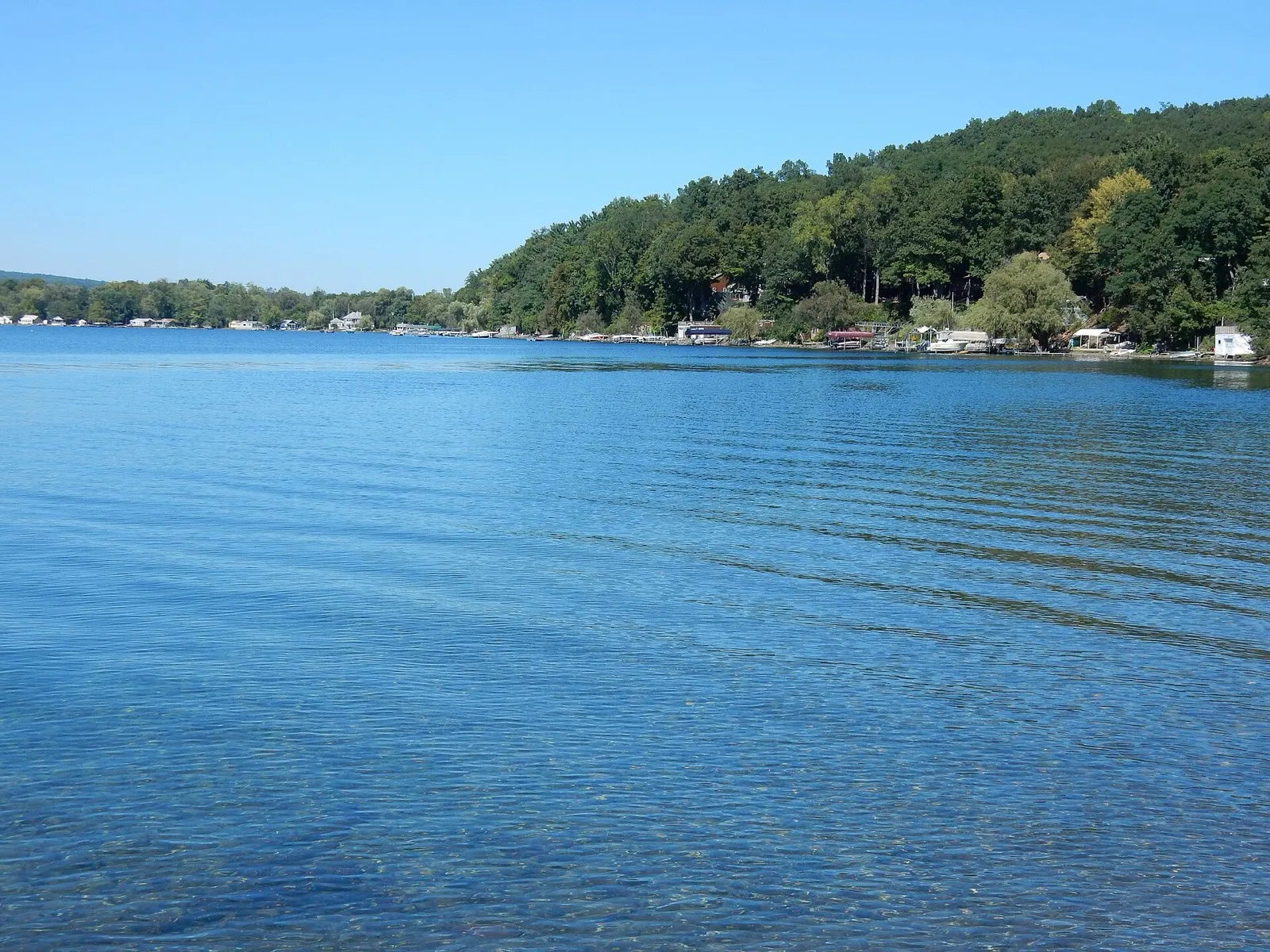 Keuka Lake and vineyard hills from Keuka Lake State Park