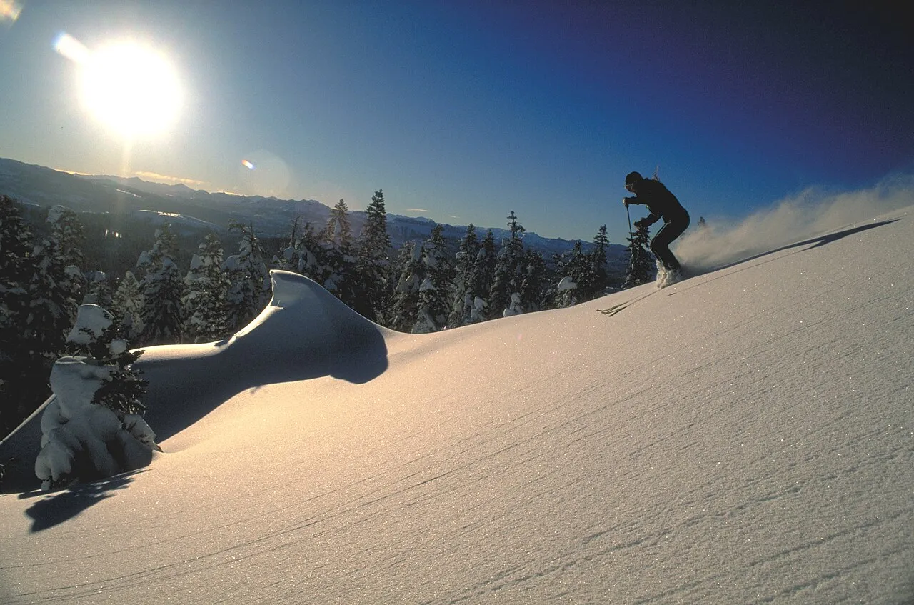 Ebbetts Pass Scenic Byway - Downhill Skiing - NARA - 7718122