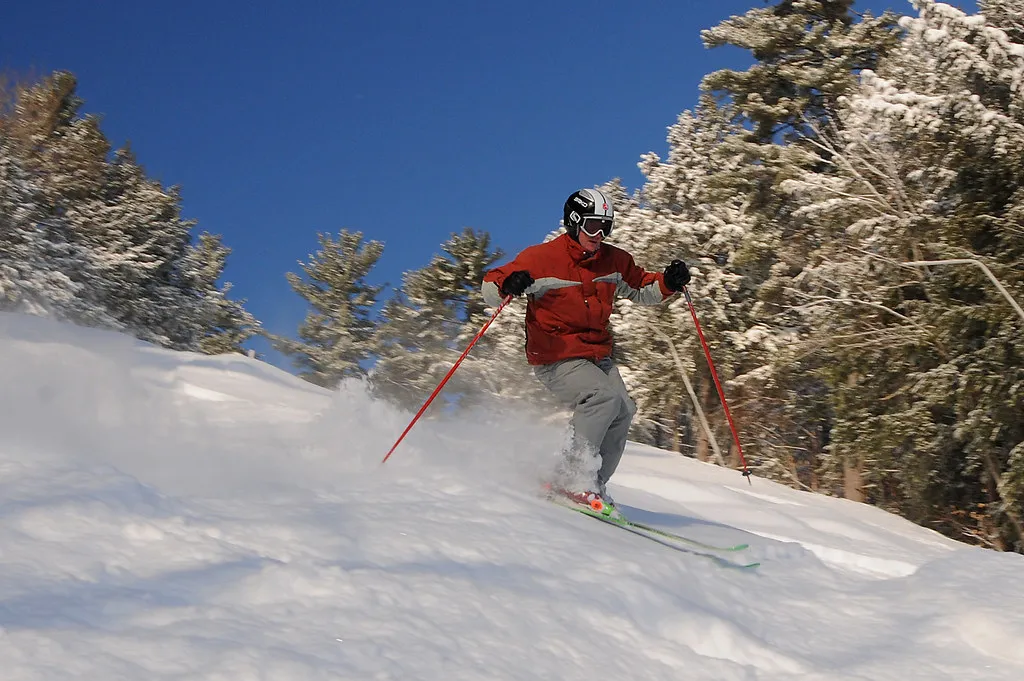 King Pine, January 20, 2012
