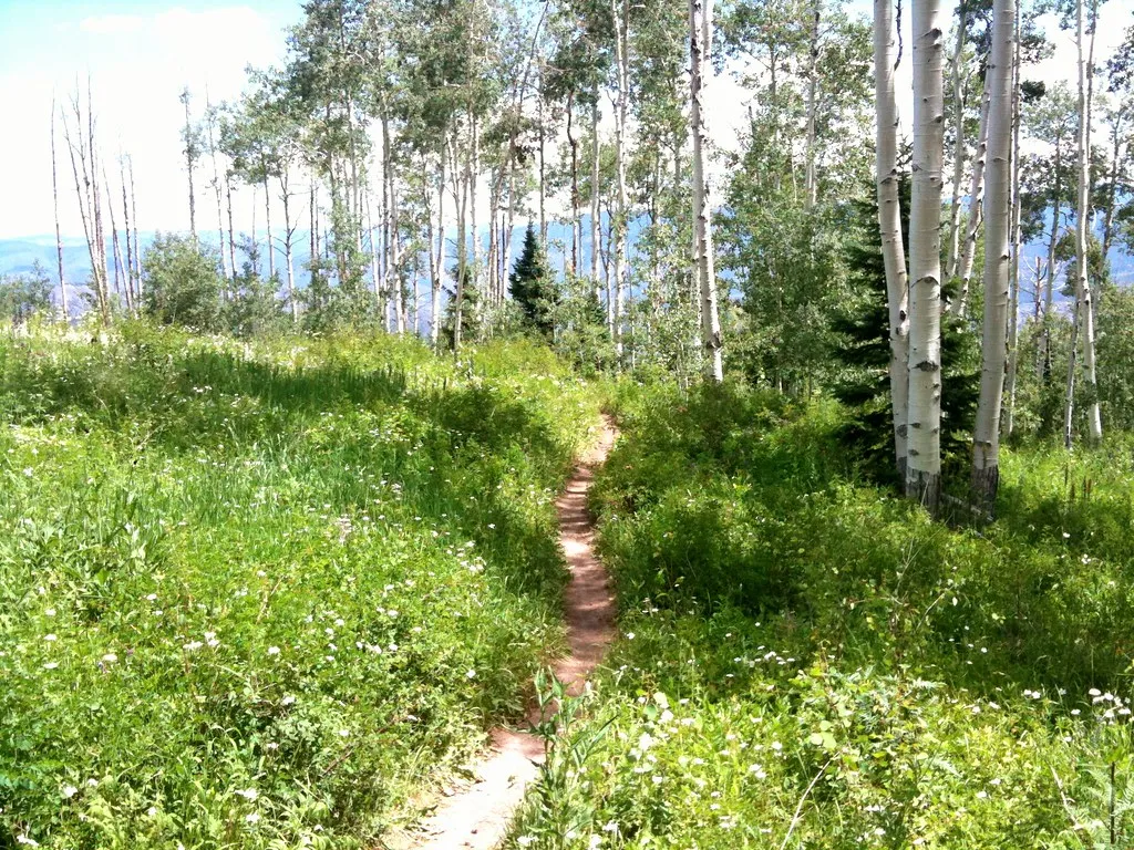 Mountain Bike Government Trail, Aspen, CO, USA