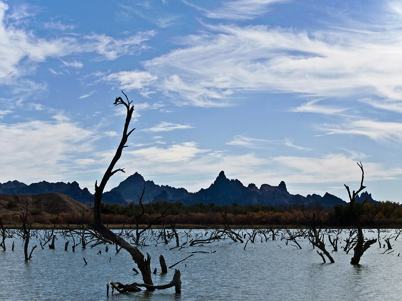 The Colorado River near Topok.