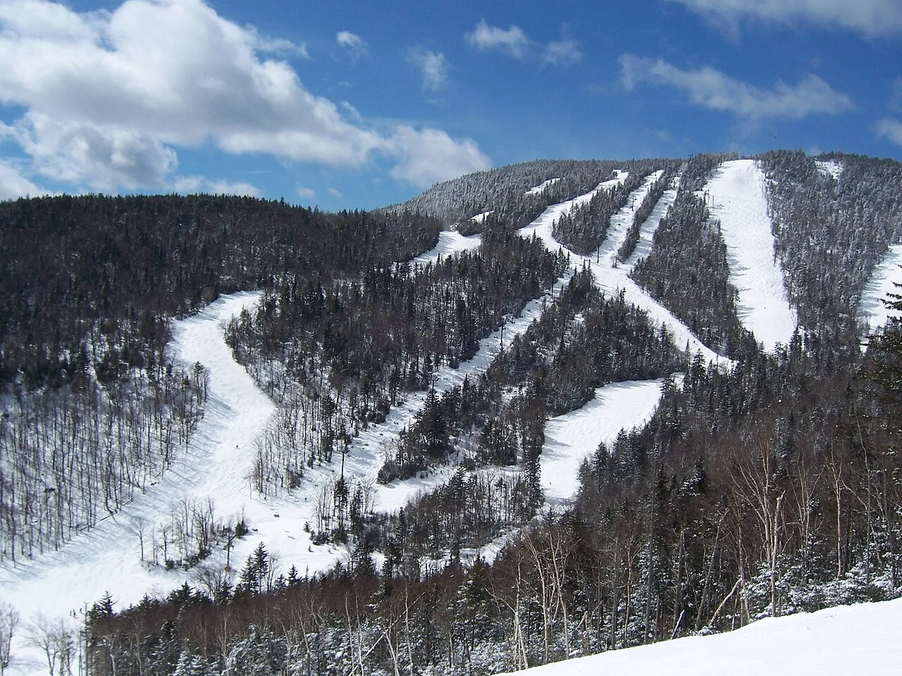 The Summit of Gore Mountain from the trail "Uncas".