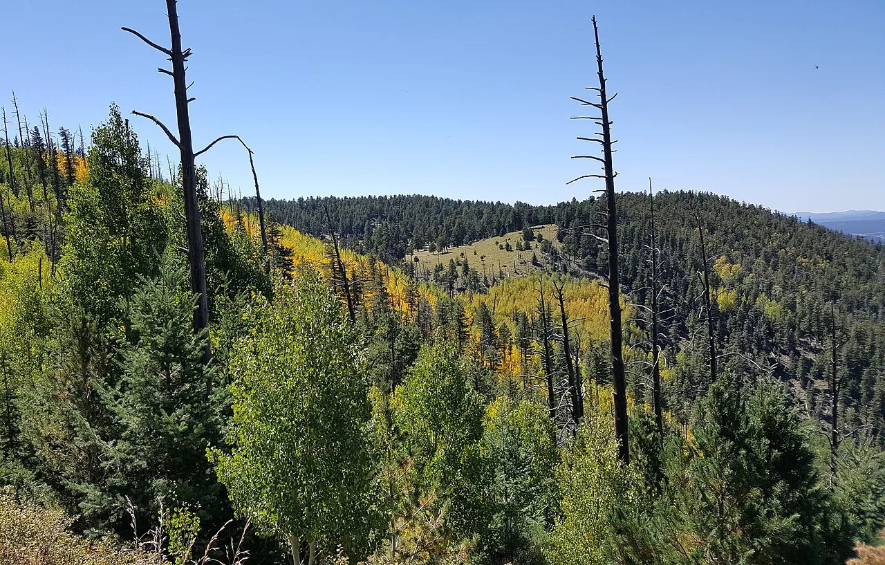 Mid-September fall color on Mount Elden.