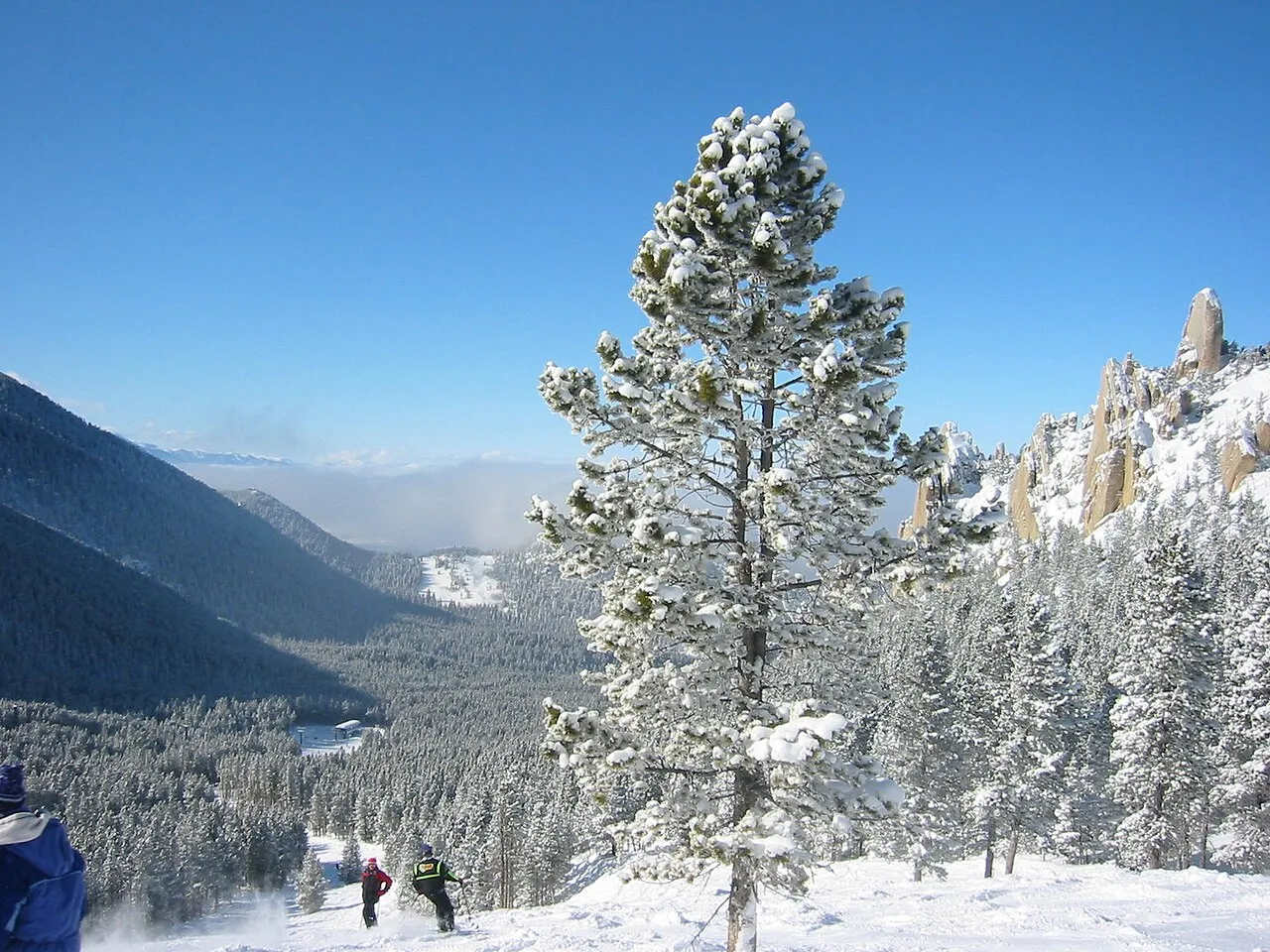 w:Red Lodge Mountain Resort , looking at the Palisades area on the north end of the ski area.