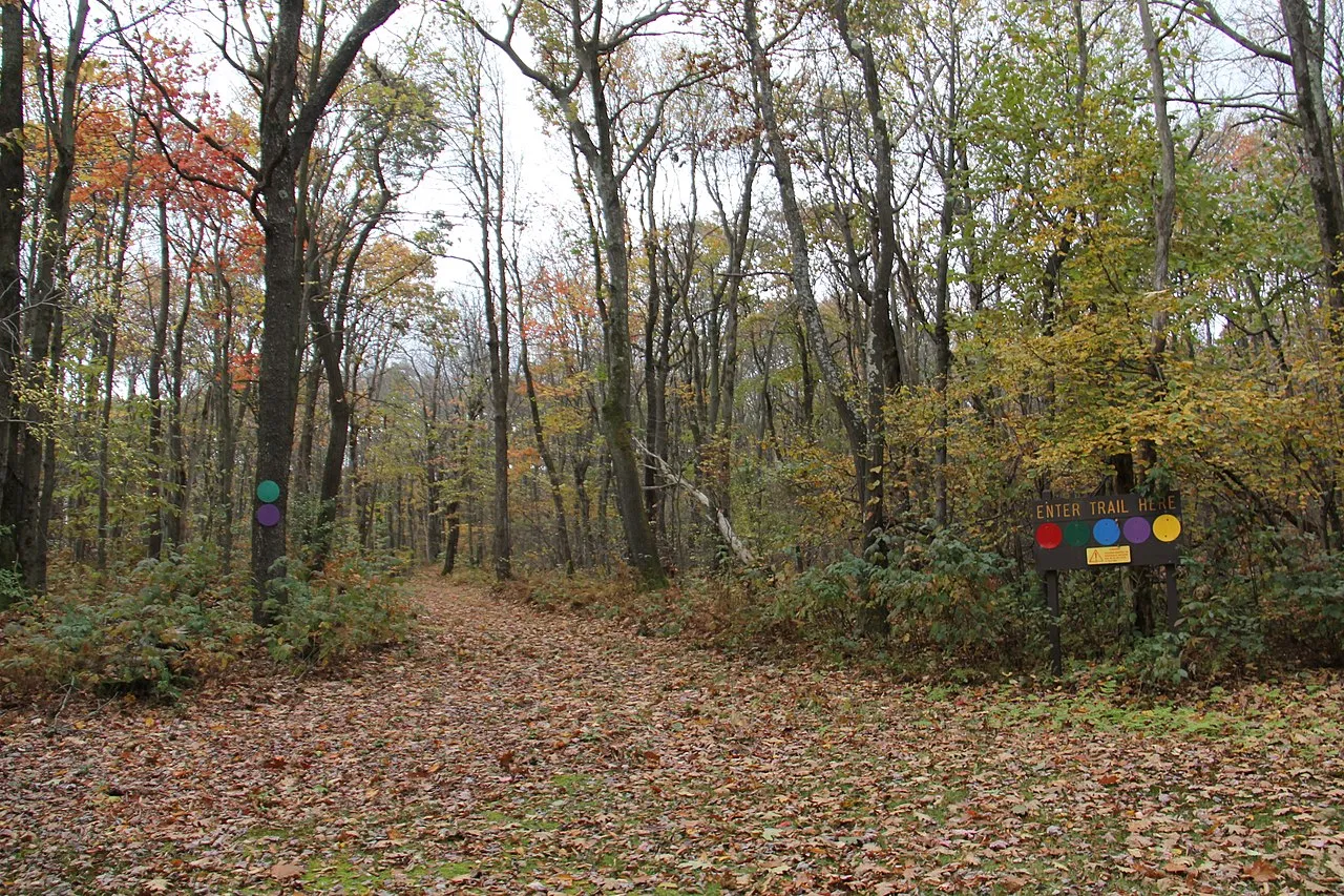 Laurel mountain ski area