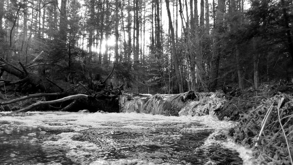 Bear Brook Waterfall
