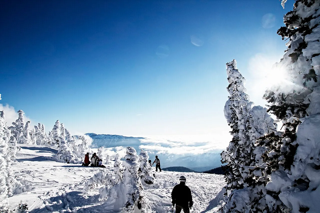 Lets Watch Winter Roll In ()