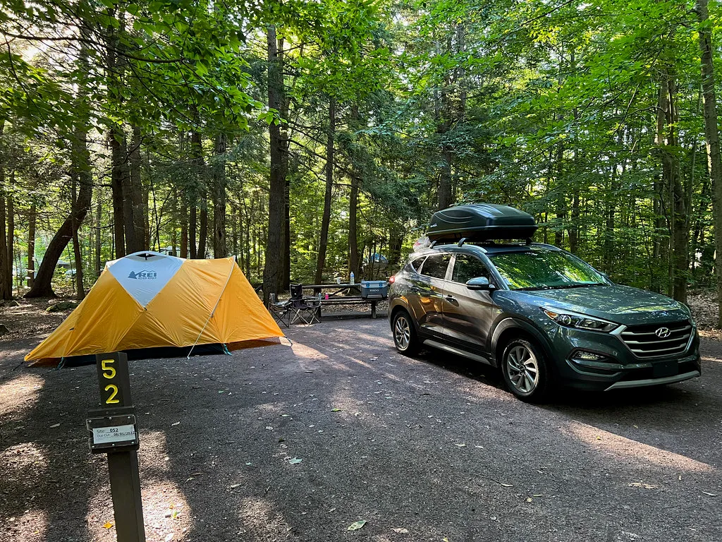 Ricketts Glen Big Loop Campsite #52