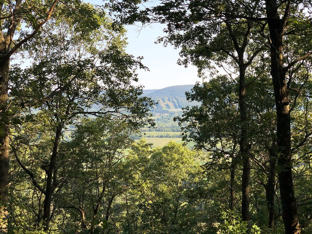 2024-09-04 17 13 05 View towards the Tussey Mountain Ski Area from the Blue Trail between station 7 and station 8 within the Mount Nittany Conservancy in College Township, Centre County, Pennsylvania