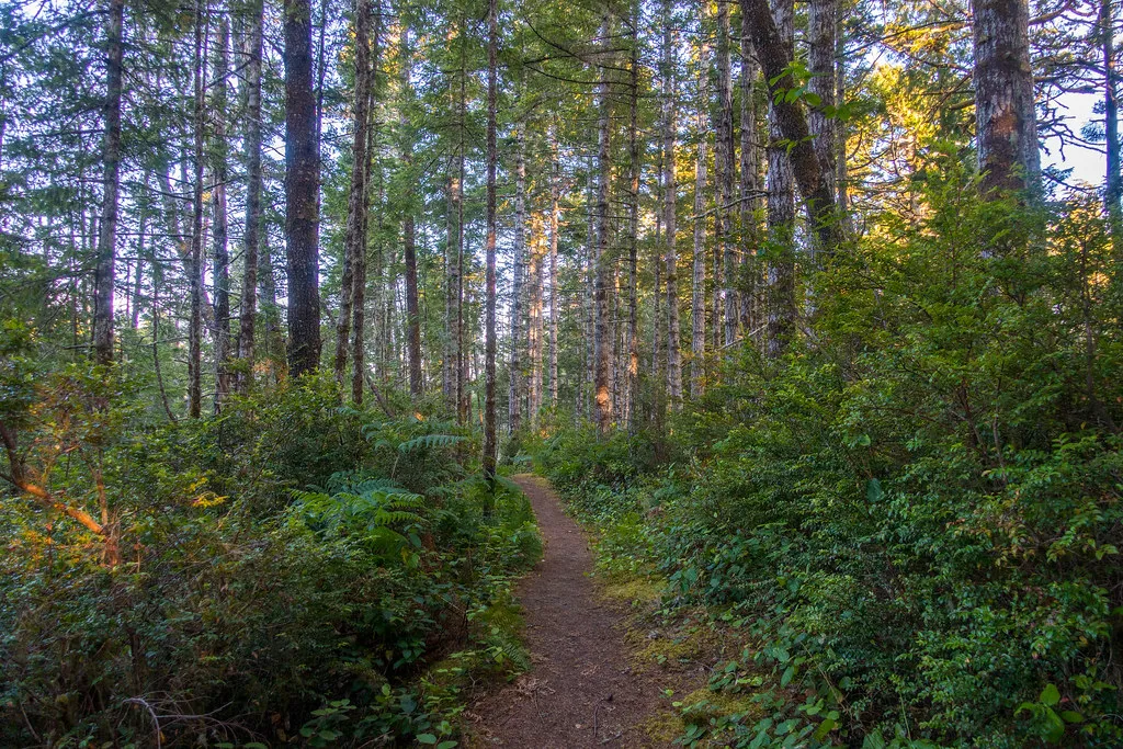 Sutton Trails
