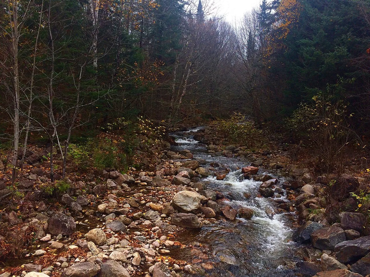 A babbling brook flows past chemin du Lac-Supérieur toward the Devil's River in Mont-Tremblant National Park.