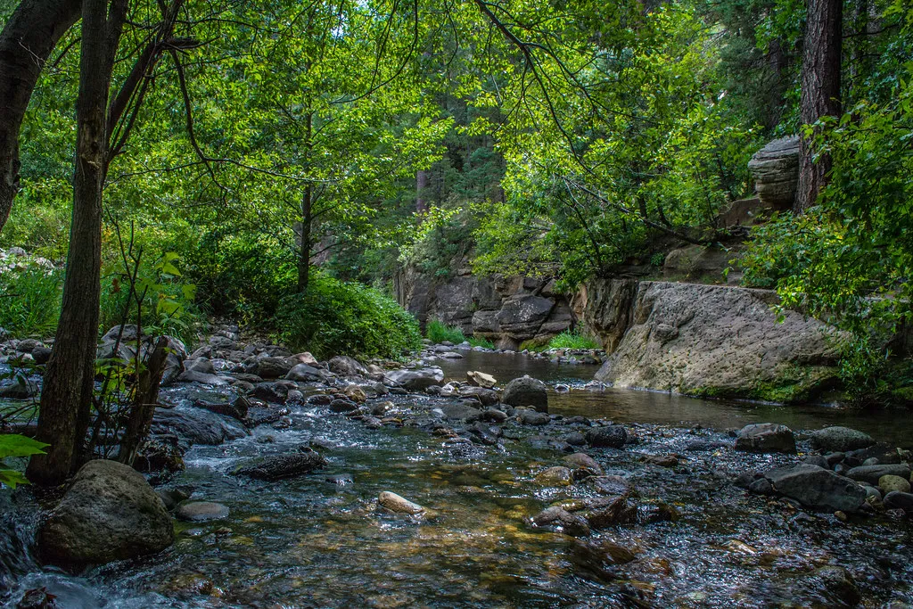 Cave Springs Campground