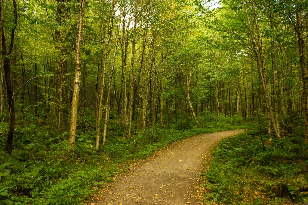 Parc national de la Jacques-Cartier