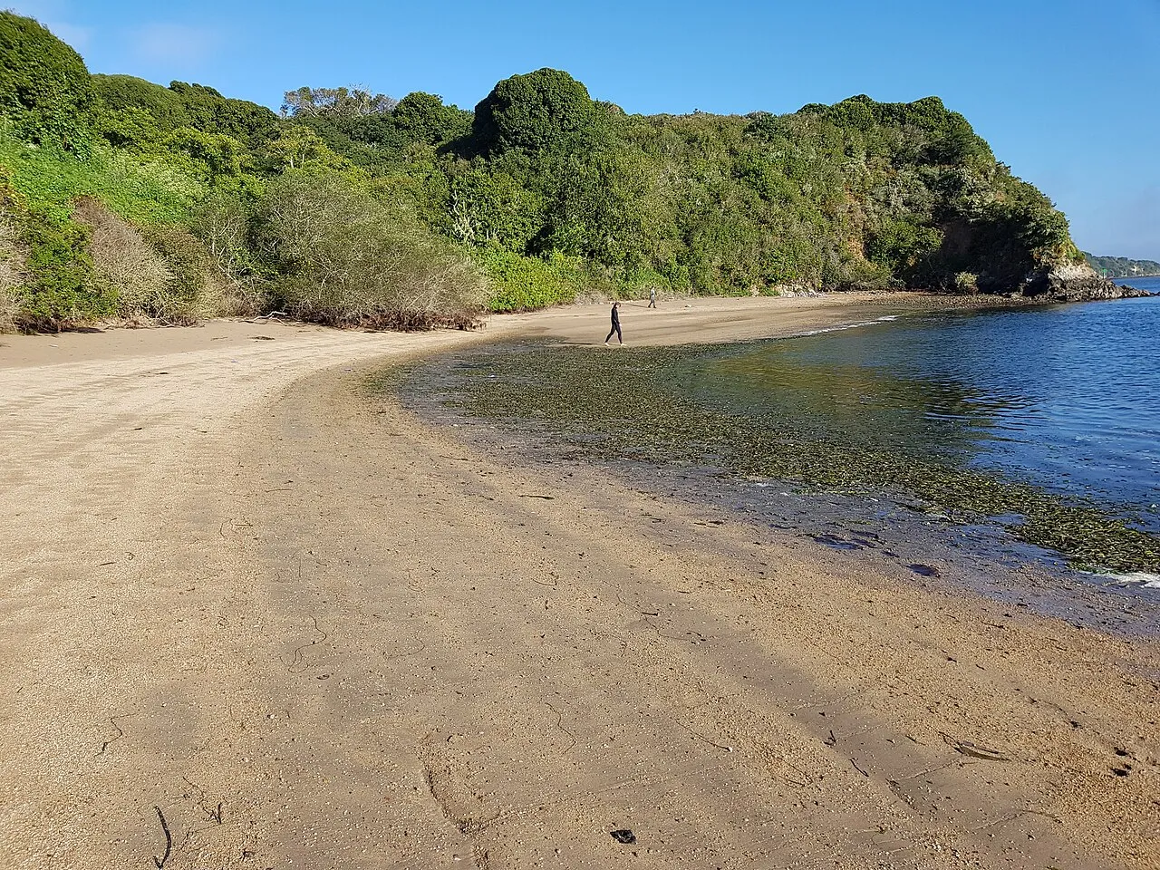 Sandy beach flanked by steep vegetation.