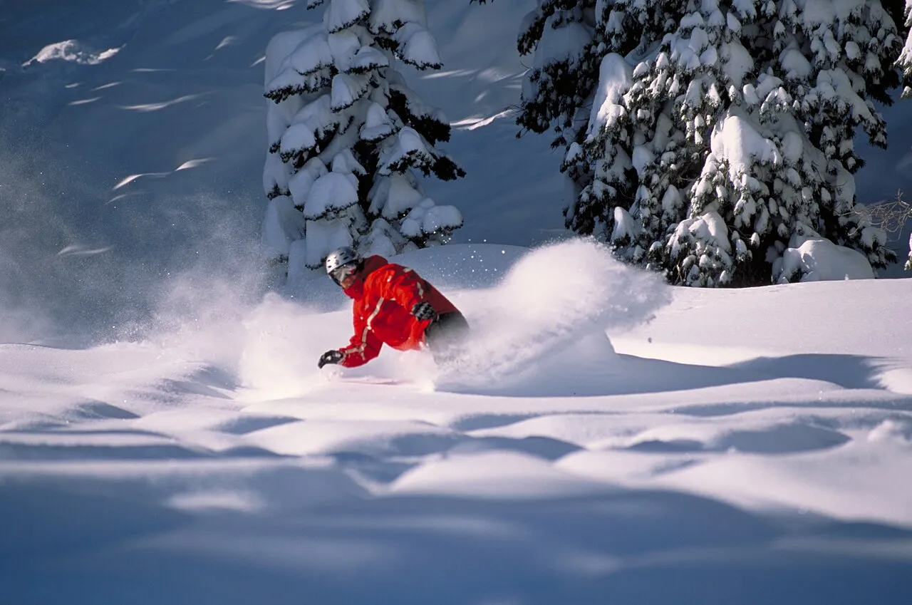 Ebbetts Pass Scenic Byway - Carving through Powder - NARA - 7718123