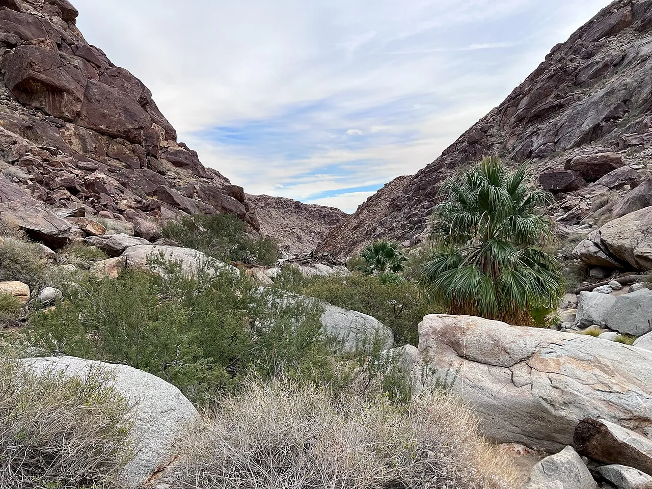 Borrego Palm Canyon - Looking Back Towards The Way In