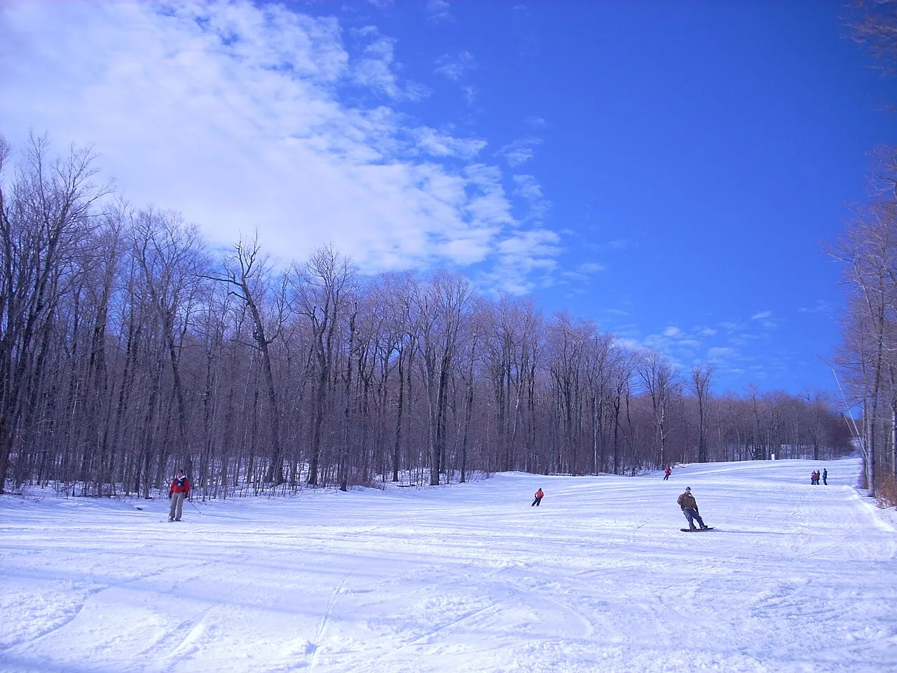 Skiing - panoramio