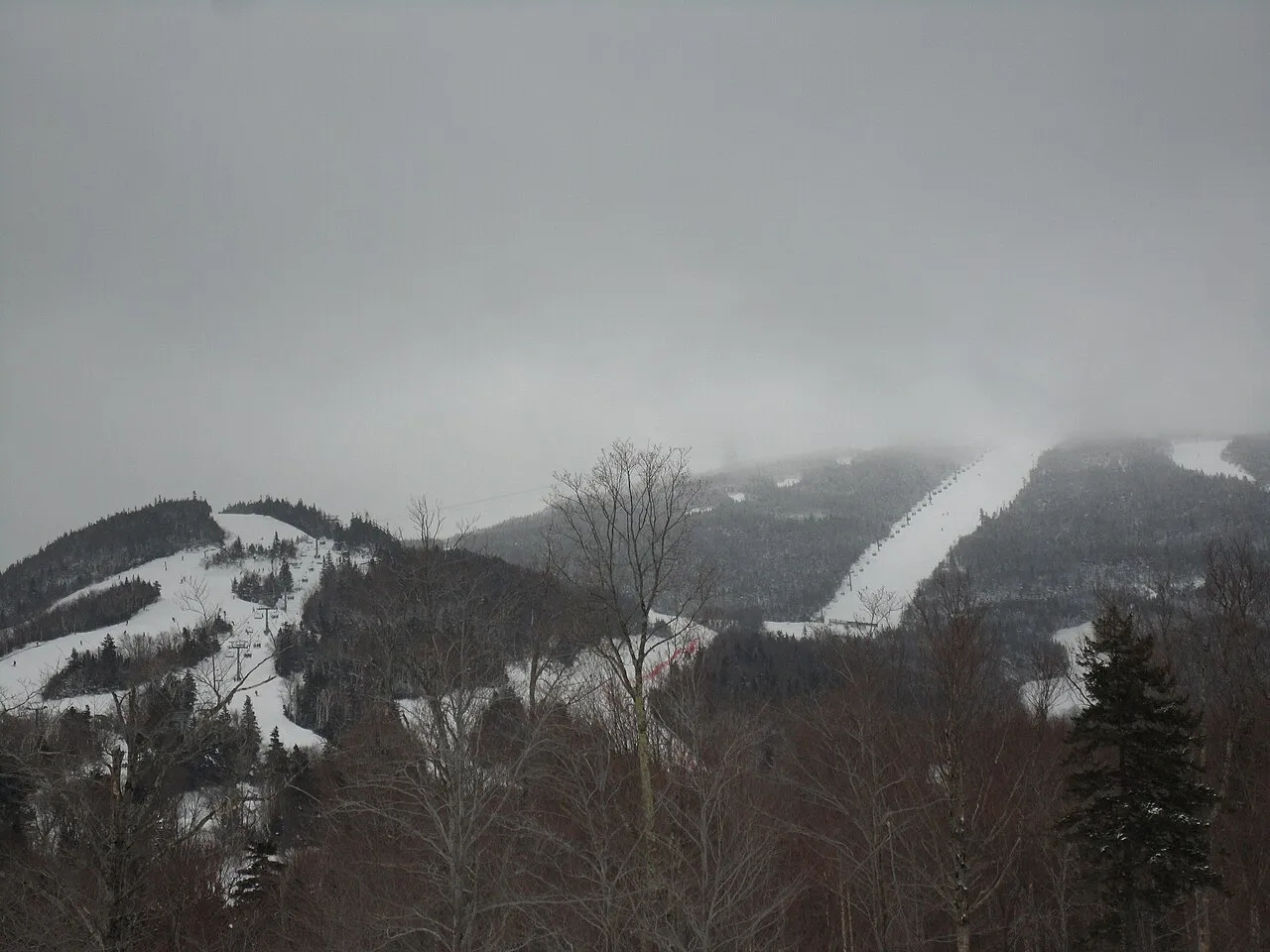 Trails Glades Cannon Mountain Ski Area White Mountains Franconia New Hampshire
