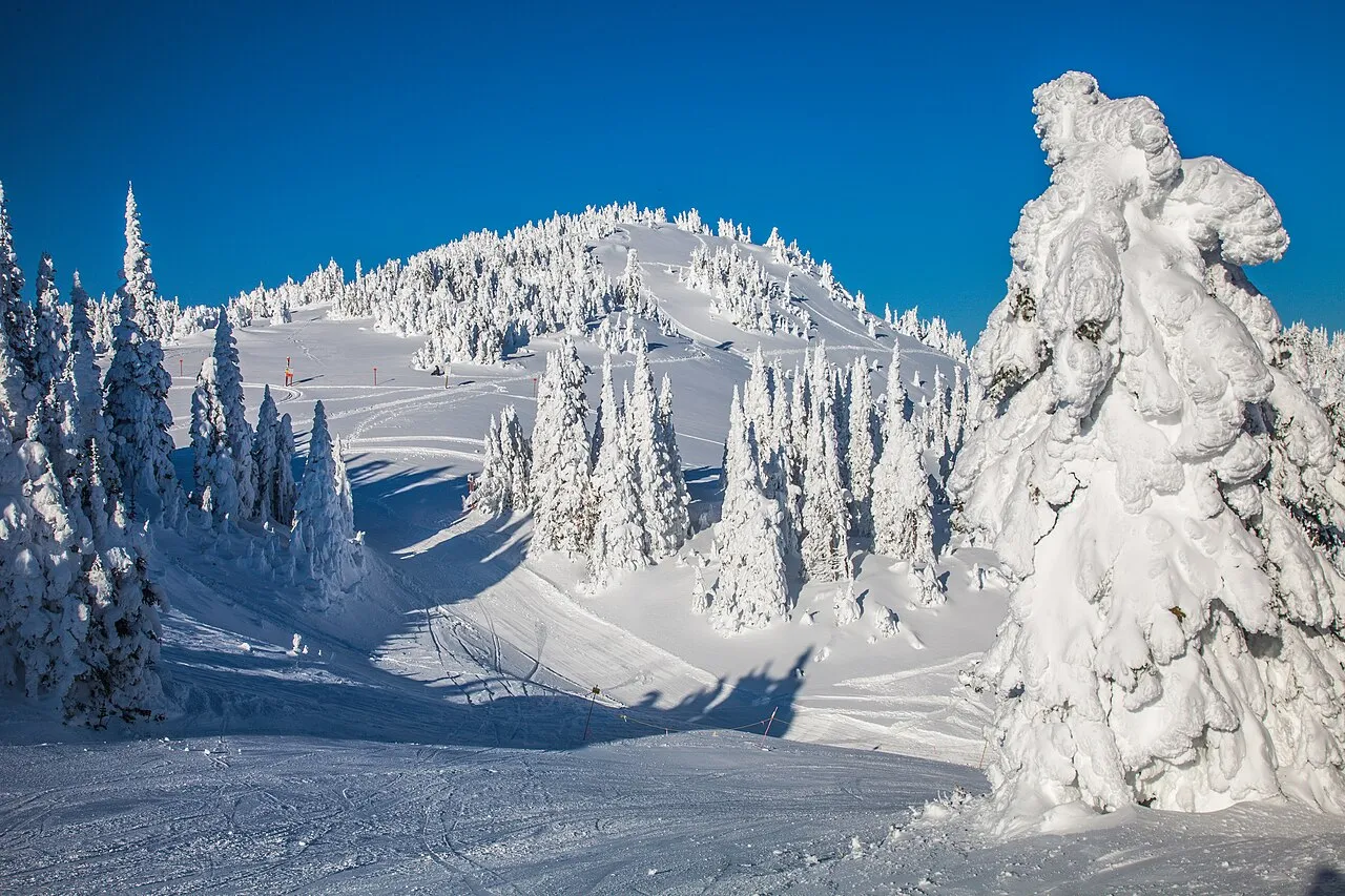 Sun Peaks Ski Resort...amongst the snow ghosts