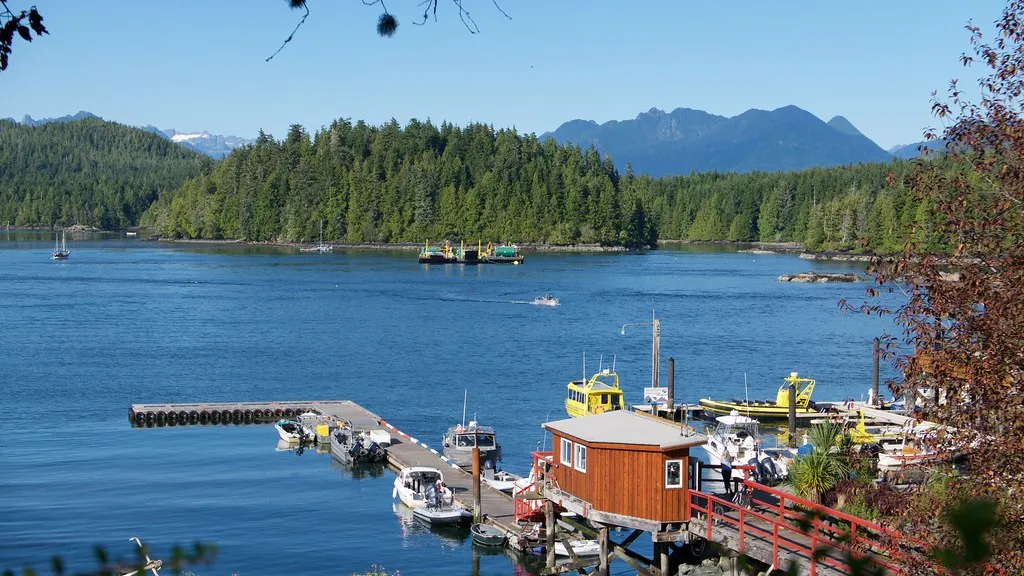 Tofino Seas