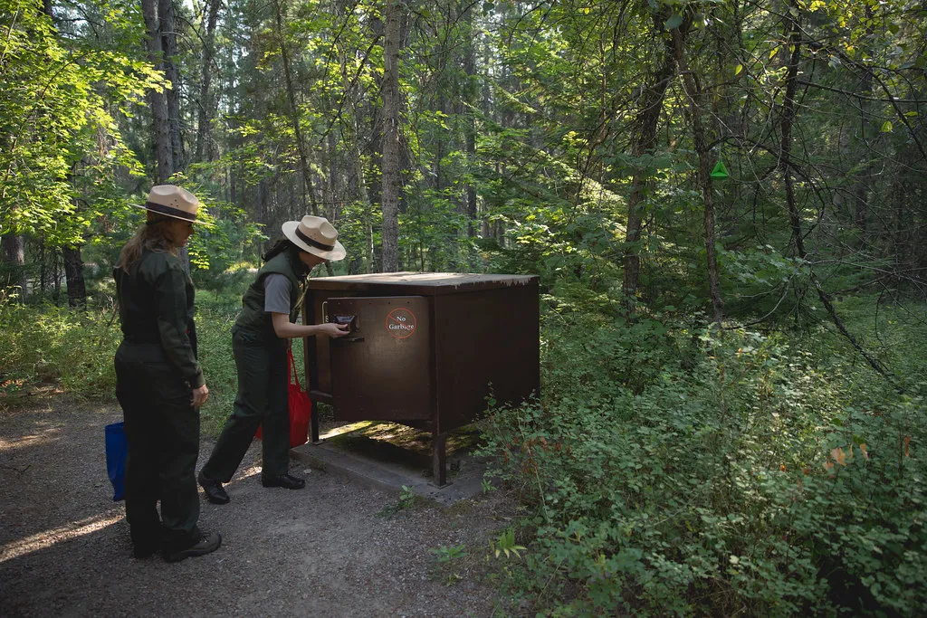 Using a Bear Box in the Apgar Campground