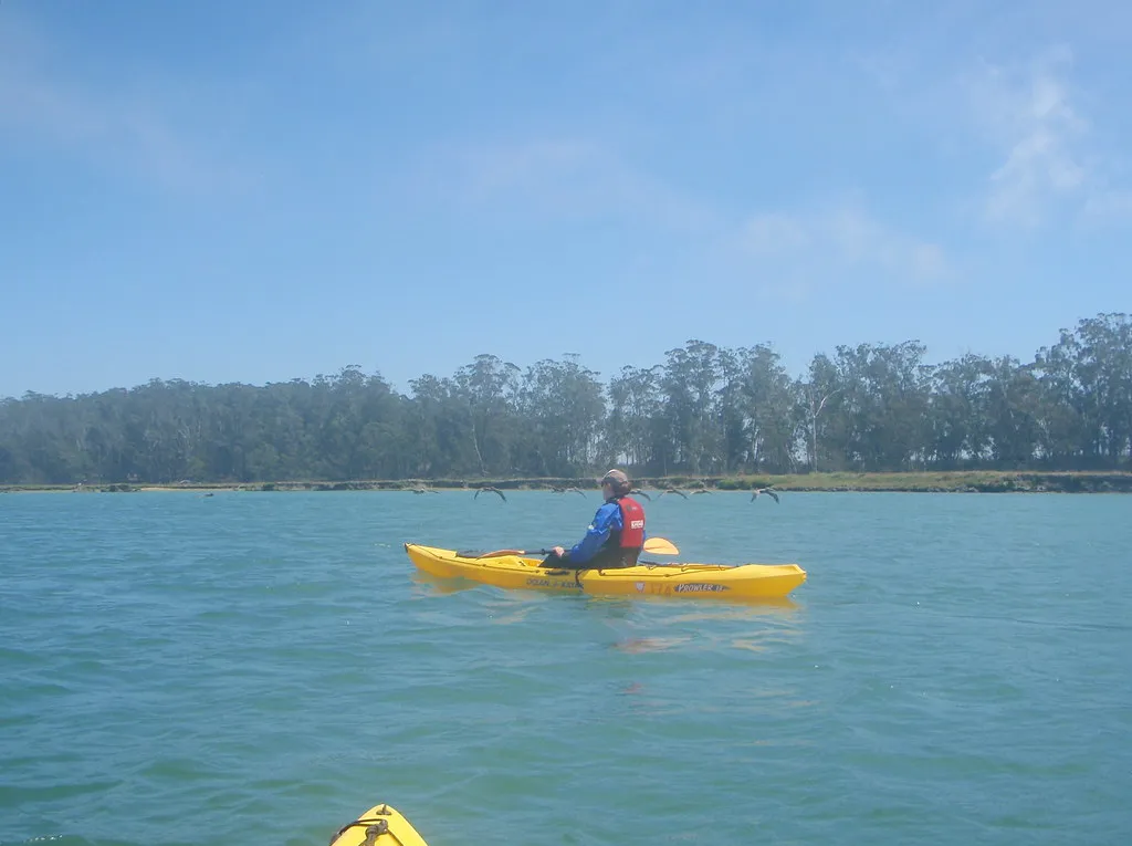 Kayaking Moss Landing
