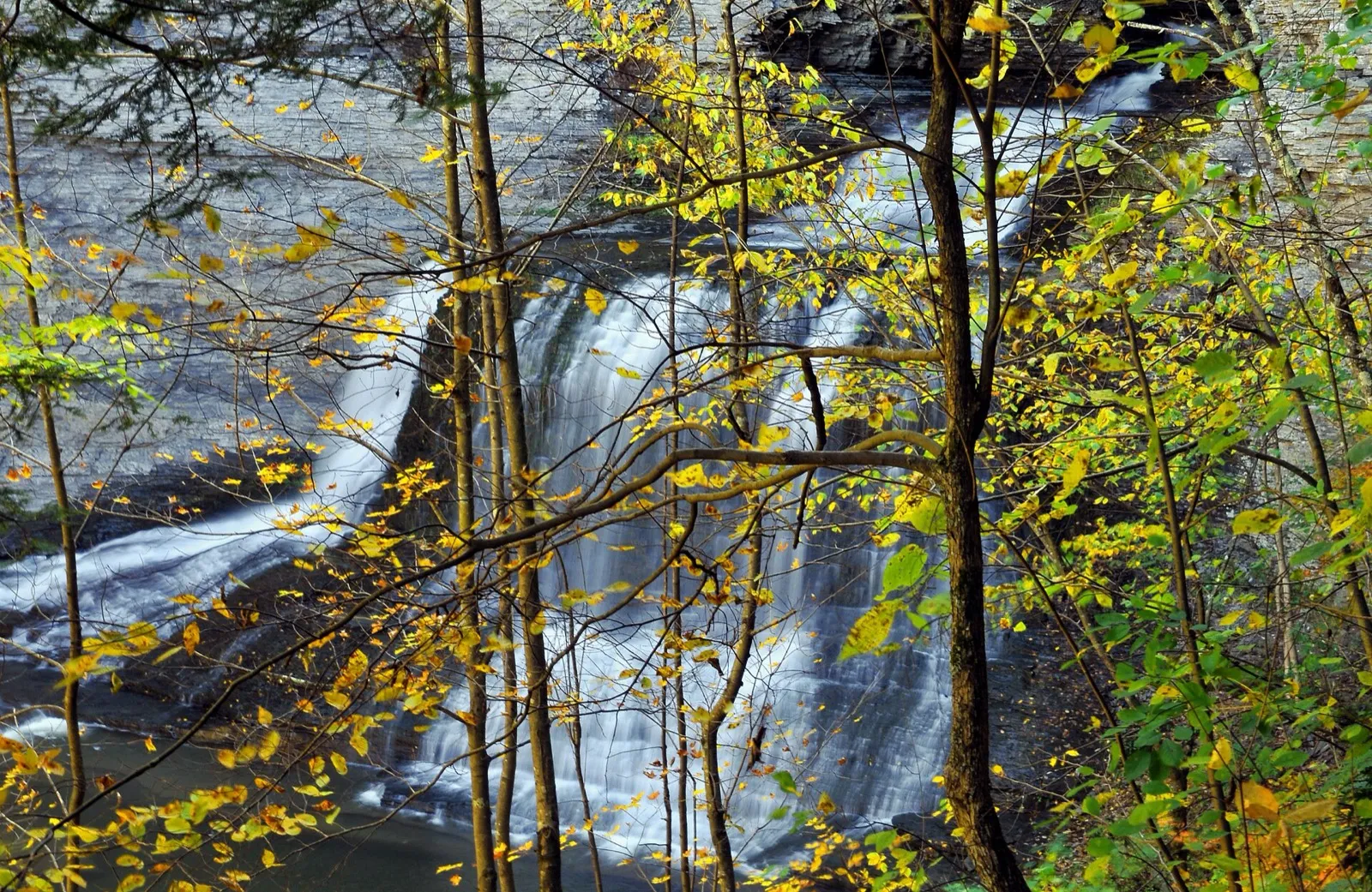 Buttermilk Falls seen through yellow fall leaves (nearby Buttermilk Falls State Park)