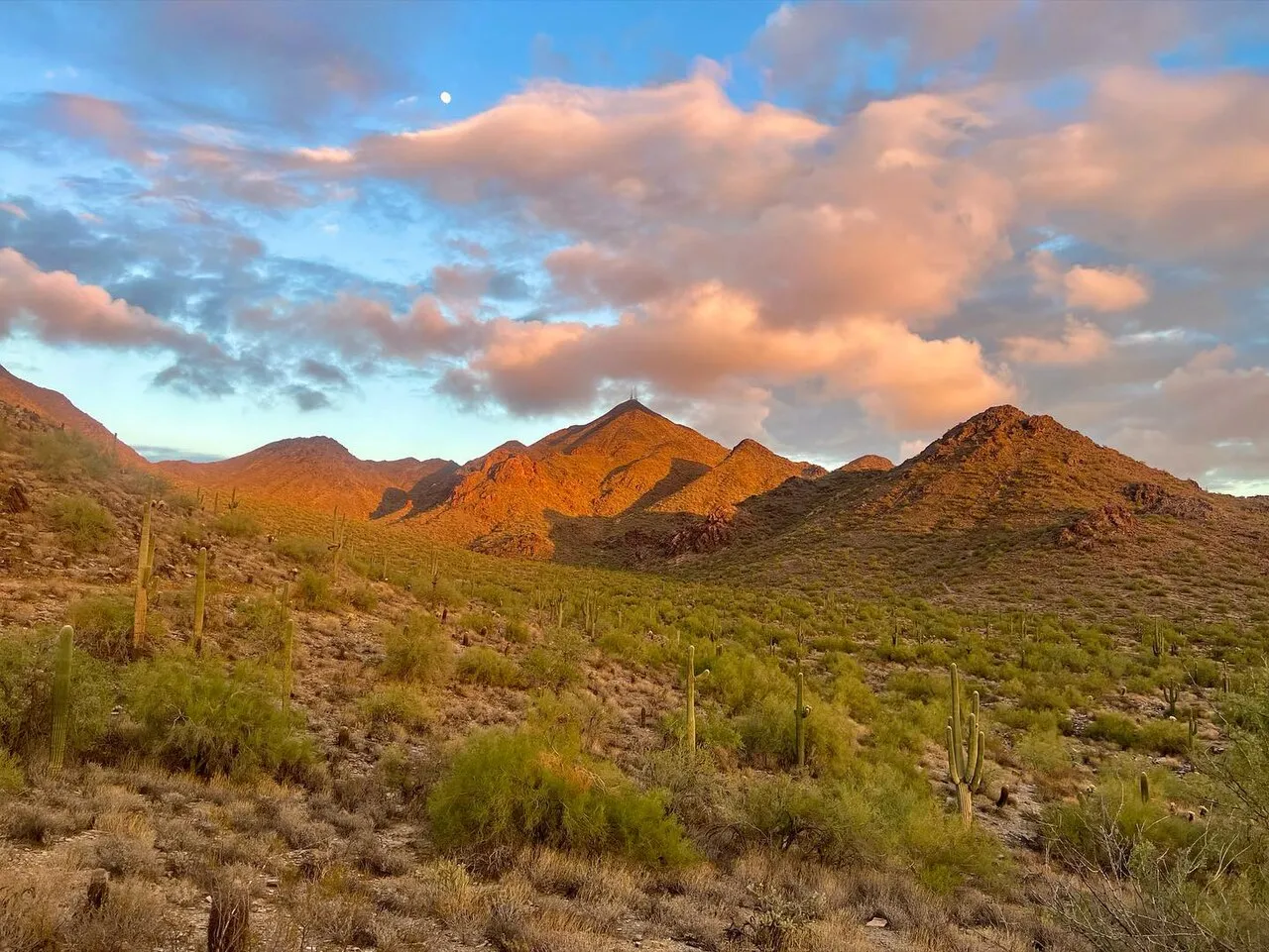 A view of Thompson Peak from the Bell Pass Trail