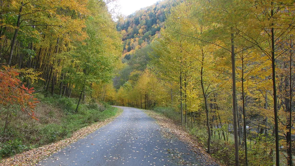 The Pine Creek rail trail for bicycles