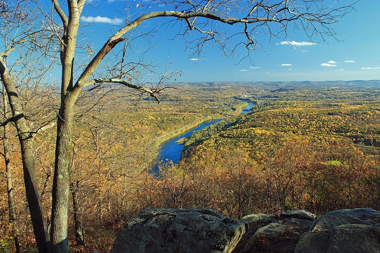 Downriver View ()