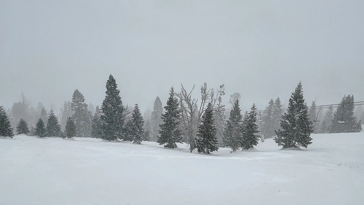 June Mtn Ski Trip