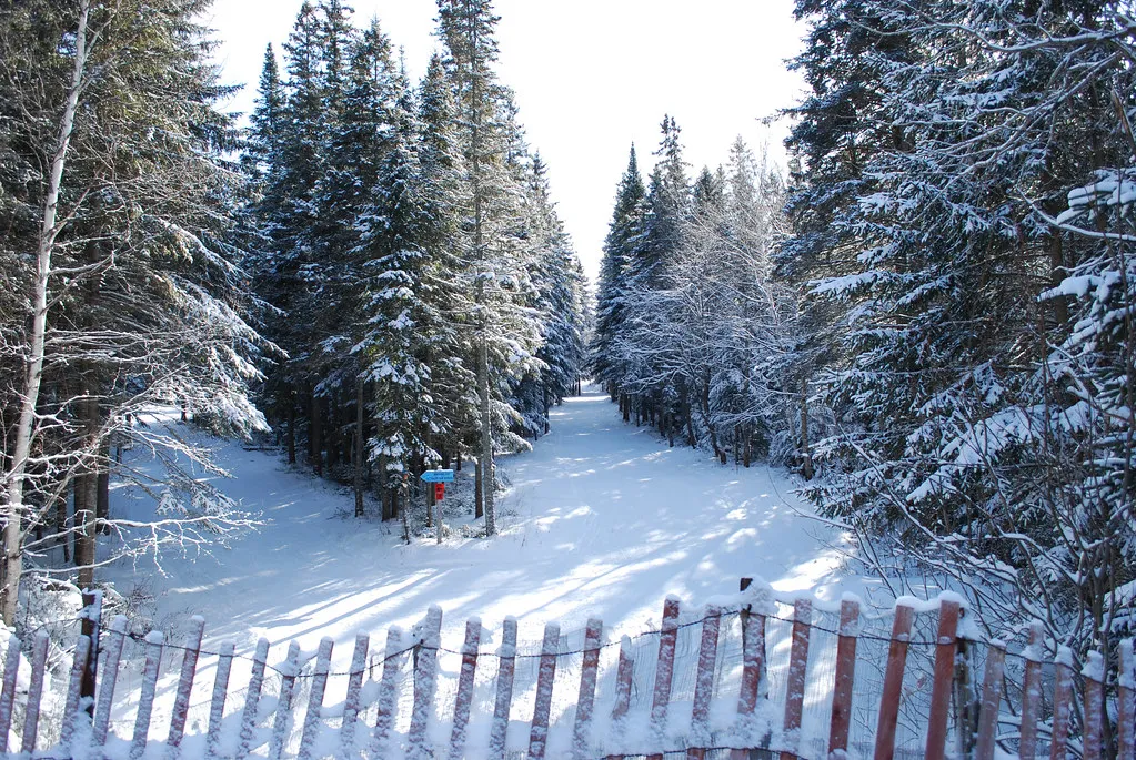 Cross Country Skiing at Lake Placid