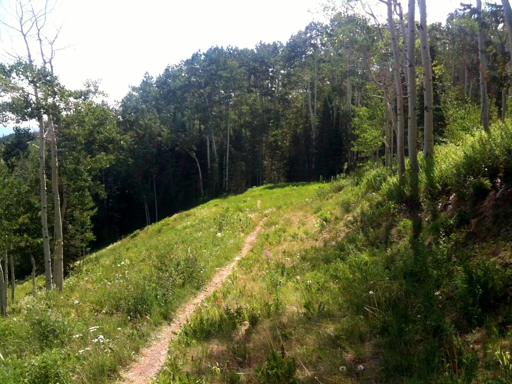 Mountain Bike Government Trail, Aspen, CO, USA