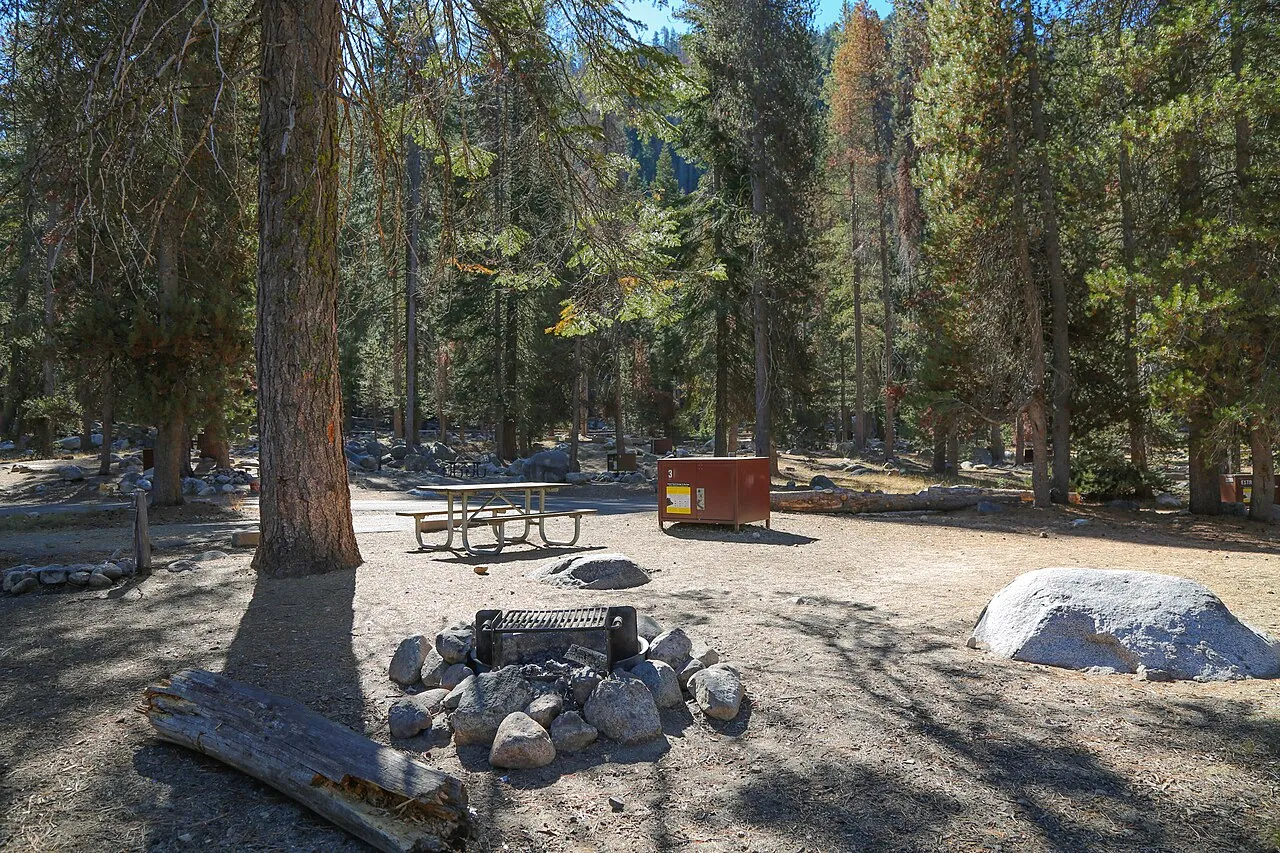 Sunny campsite surrounded by pine trees Tent, RV, and/or trailer campsite Keywords: campground; sequoia and kings canyon national parks