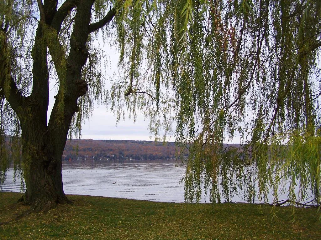 Cayuga Lake at Ithaca.