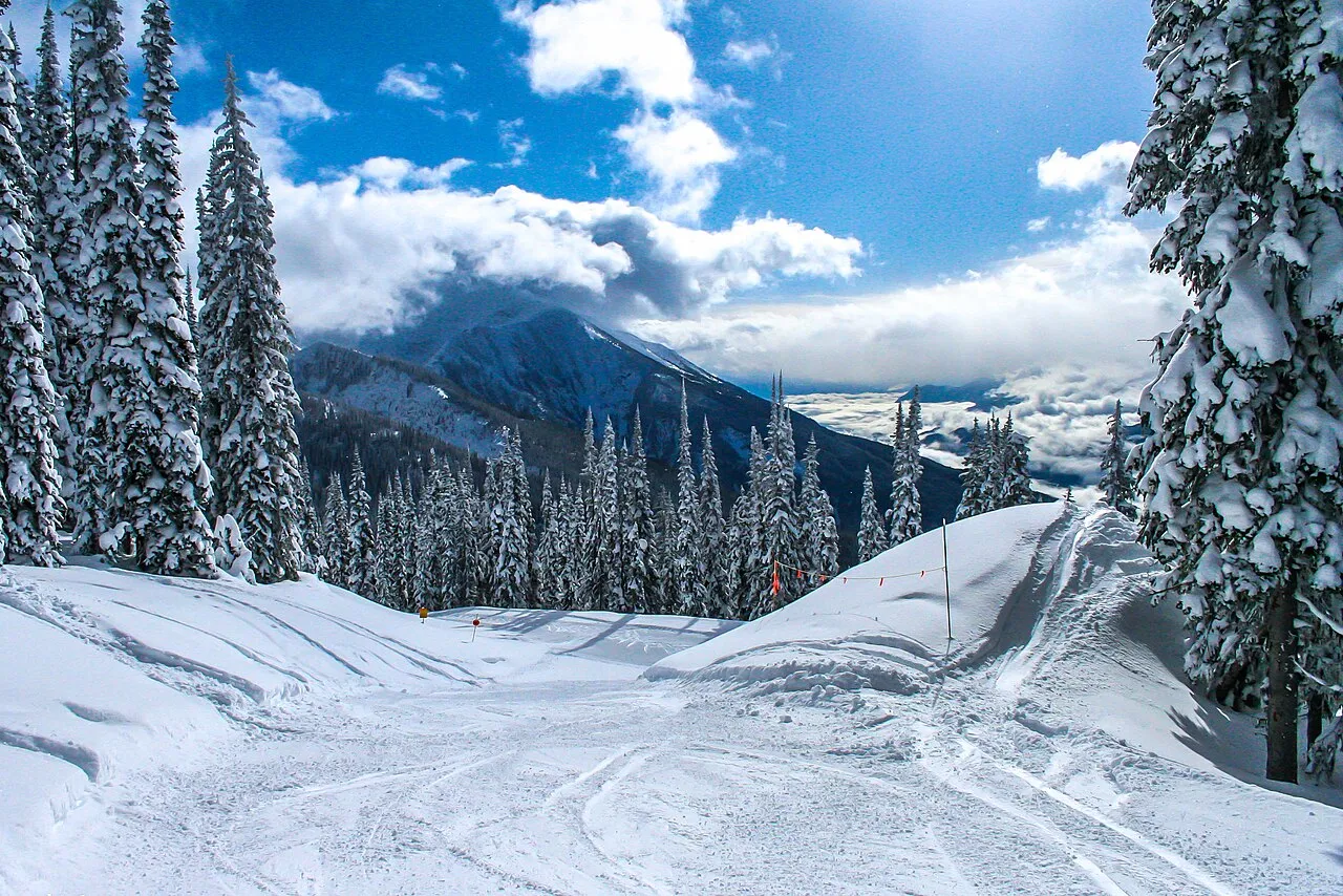 A day's skiing at spedtacular Mt Revelstoke - Noth Americas biggest vertical drop at 1713m (5620 ft) - the buried trees appear like snow ghosts - ()