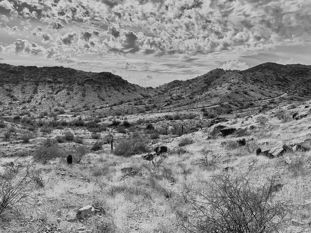 View in South Mountain Park