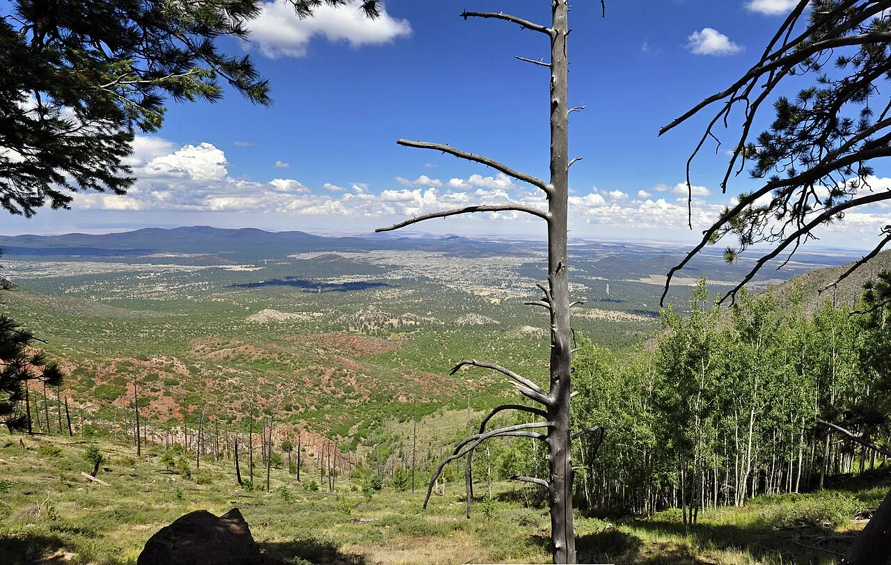 Seen from atop Mt.