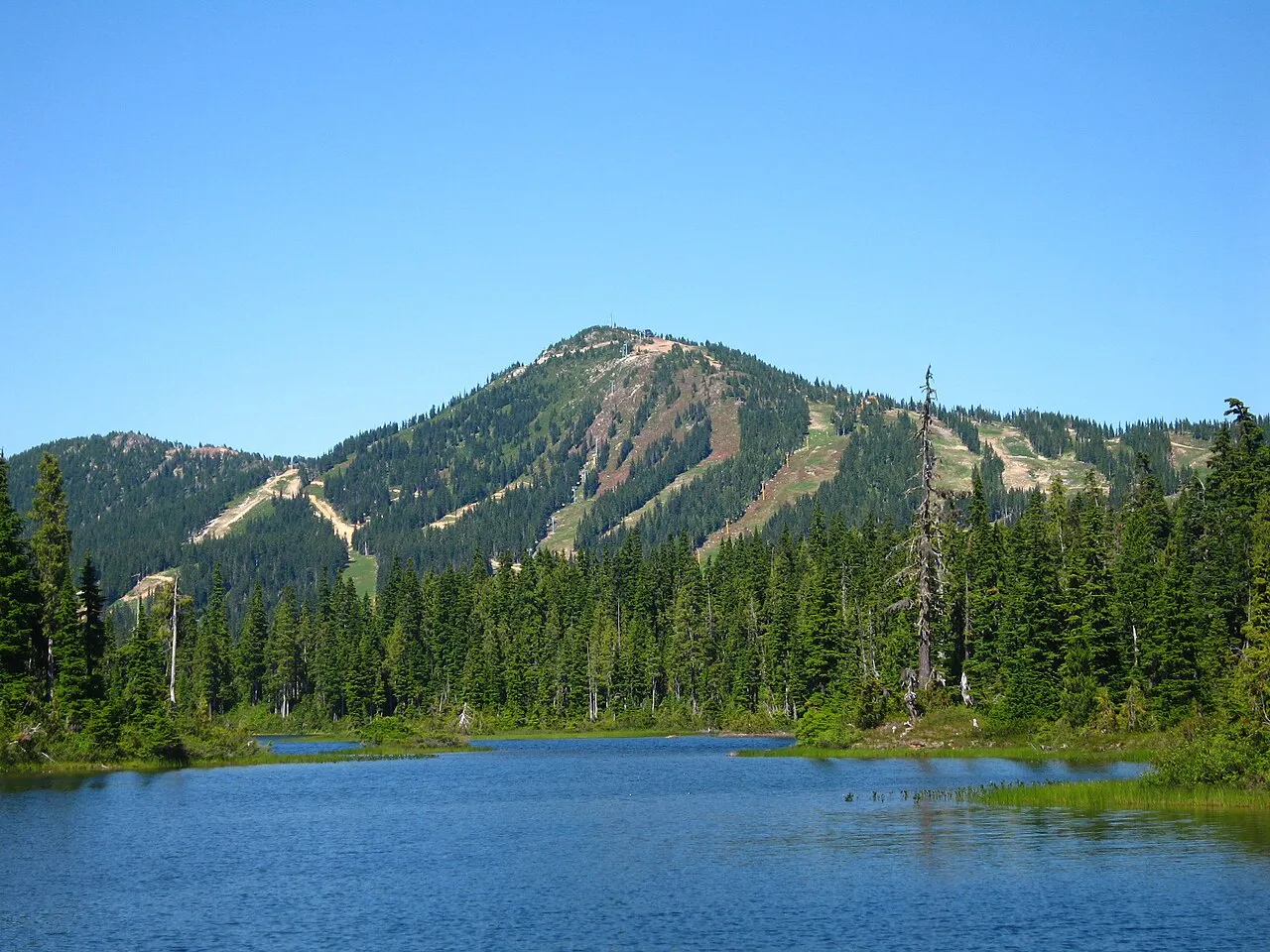 Mount Washington from Forbidden Plateau in the Summer