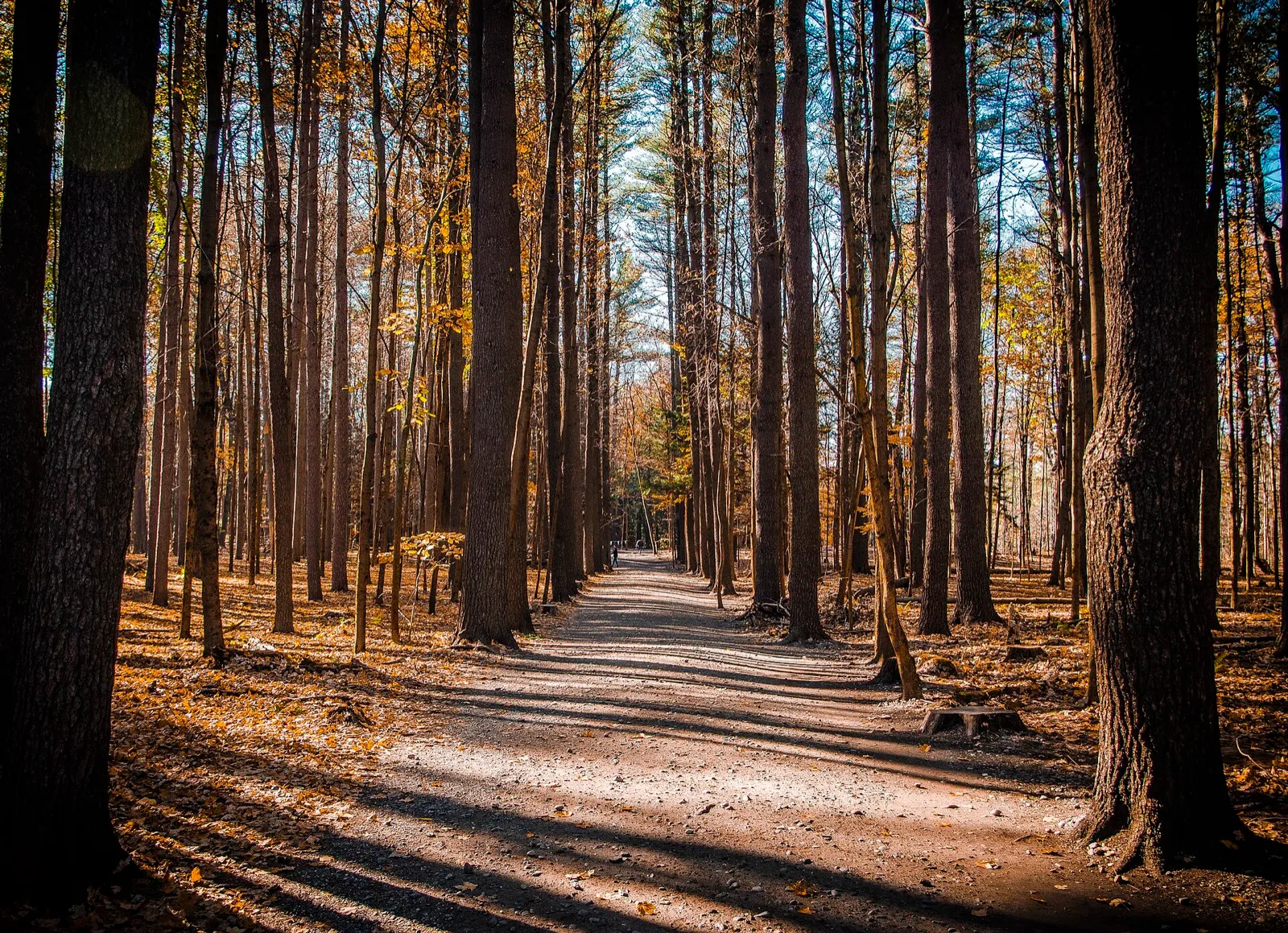 Late-fall color in Saratoga Spa State Park